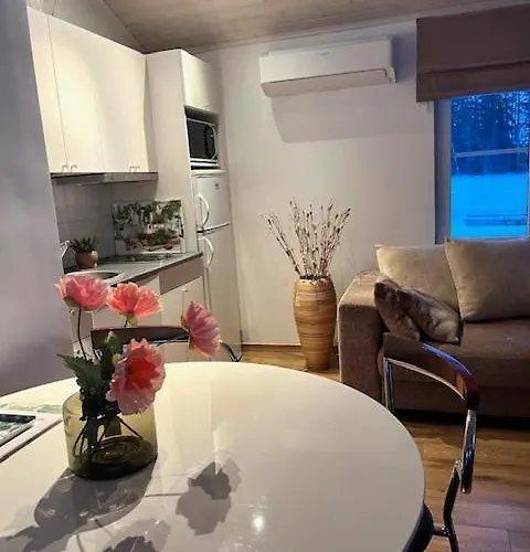 Wonderful By The 度假居 Hautjarvi